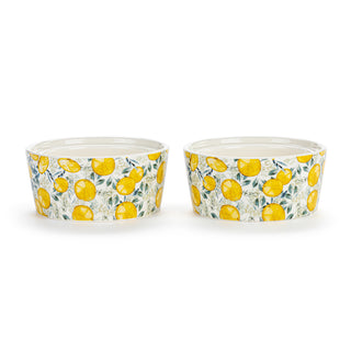 Lemon Ramekins