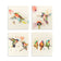 Hummingbirds