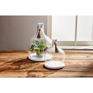 White Cloche Set