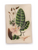 Botanical