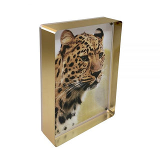 Gold Prestige Magnet Frame
