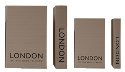 Faux Book Storage Box