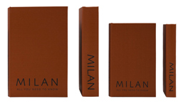 Faux Book Storage Box