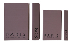 Faux Book Storage Box