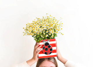 Ladybug Mini Attachment