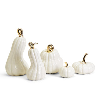 White Pumpkins