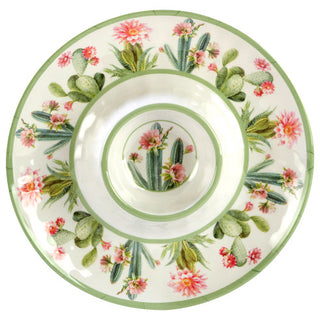 Desert Beauty Melamine Chip & Dip