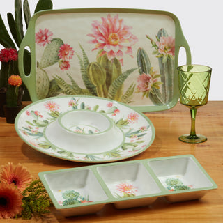 Desert Beauty Melamine Chip & Dip