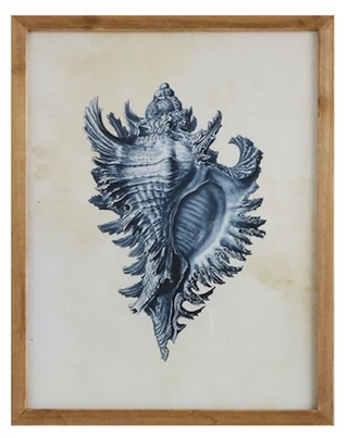 Coral & Shells Framed Wall Decor