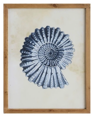 Coral & Shells Framed Wall Decor