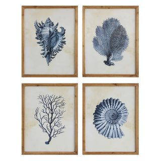 Coral & Shells Framed Wall Decor