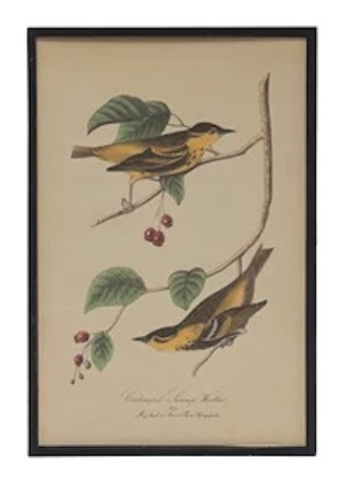 Bird & Flower Framed Wall Decor