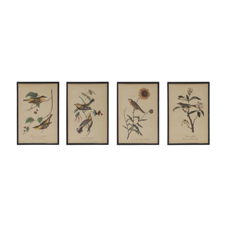 Bird & Flower Framed Wall Decor
