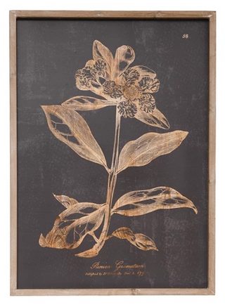 Botanical Print Wall Decor