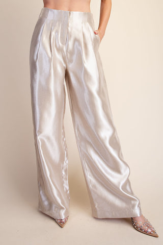 Shiny High Waisted Pants with Pleats