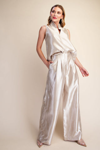 Shiny High Waisted Pants with Pleats