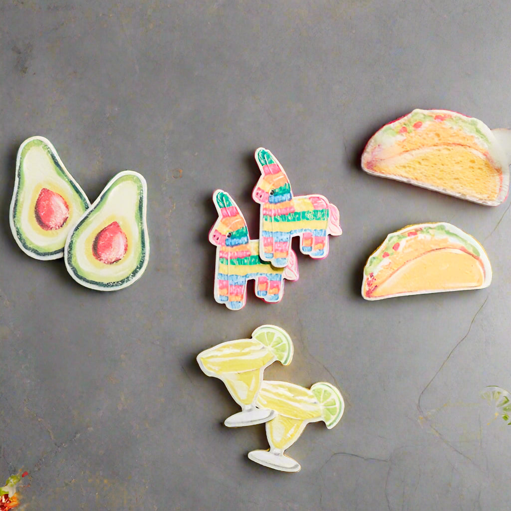 Fiesta Pop-Up Sponge Sets – Briarwood Gifts