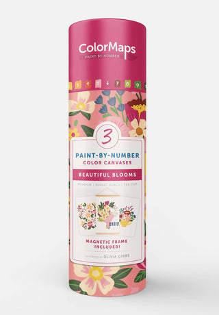 Paint by Number Color Canvases