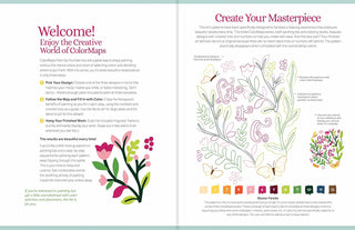 Paint by Number Color Canvases