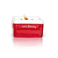 ice cold (cooler)