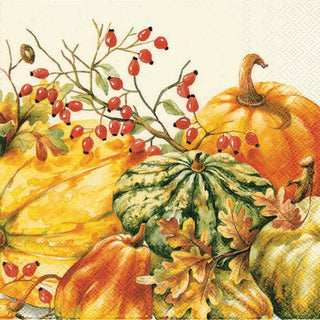 Calabaza Pumpkin Napkins