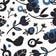 Blue Jay