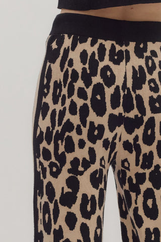 Animal Print Knit Pants