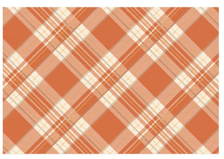 Orange Plaid Placemat