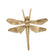 Small Dragonfly
