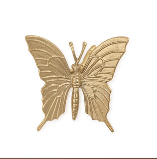 Nature Decor Bugs