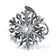 Snowflake 1