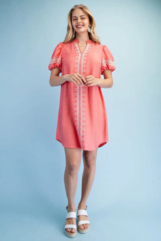 Embroidered V-Neck Mini Dress