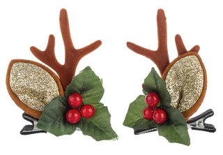 Tis the Season Hair Clip Set of 2