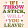 If I Throw a Stick