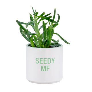 Seedy MF Planters