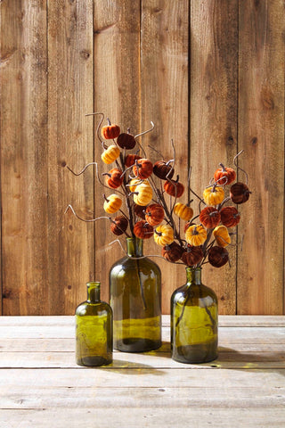 Harvest Pumpkin Stem