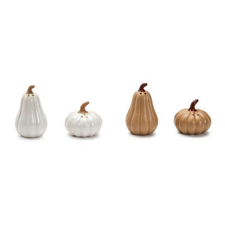 Pumpkin & Gourd Salt & Pepper Shakers