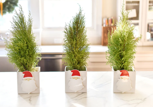Santa HoHoHo Mini Attachment