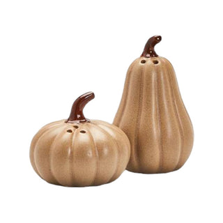 Pumpkin & Gourd Salt & Pepper Shakers