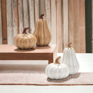 Pumpkin & Gourd Salt & Pepper Shakers