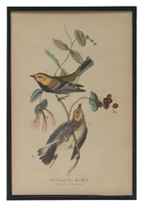 Bird & Flower Framed Wall Decor