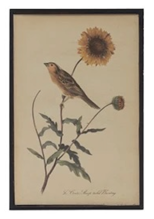 Bird & Flower Framed Wall Decor