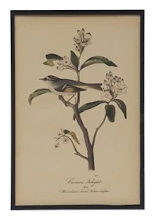 Bird & Flower Framed Wall Decor