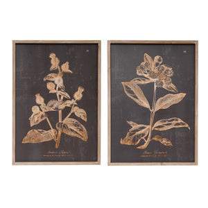 Botanical Print Wall Decor