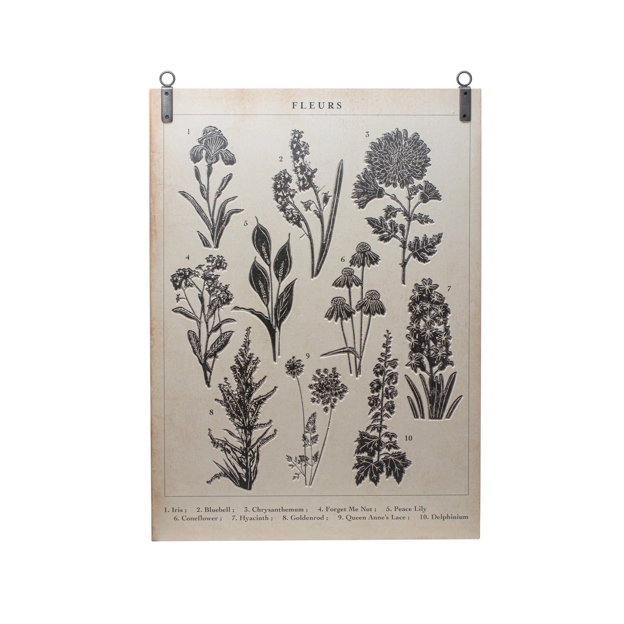 Garden Studies Print with Metal Hangers